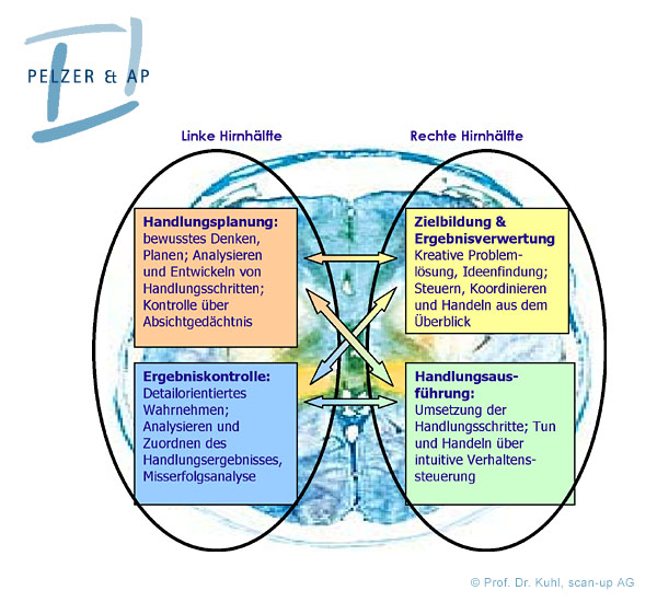 Pelzer AP EOS Management Test